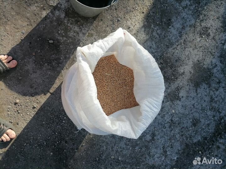 Продам пшеницу