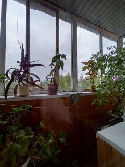 2-к. квартира, 42 м², 4/5 эт.