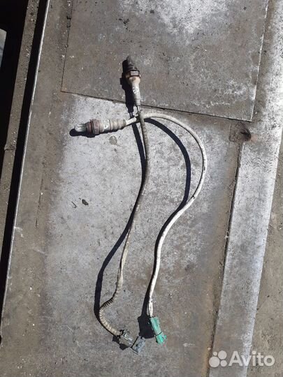 Лямдо зонд Citroen C3