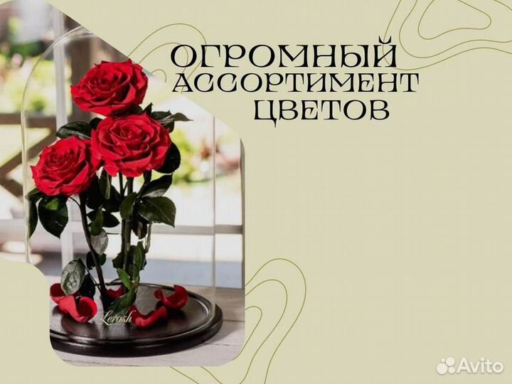 Розы в колбе разные