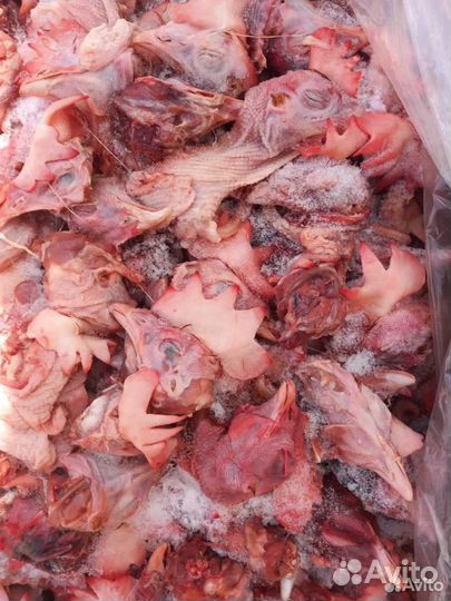 Мясо для собак