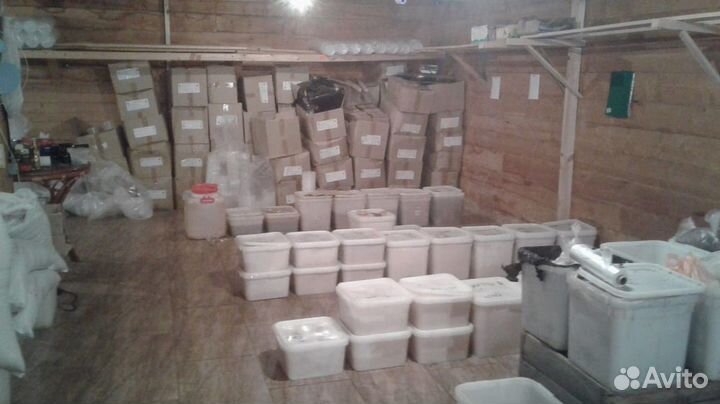 Рапсовый мёд