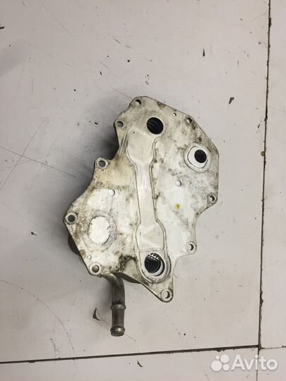 Радиатор масляный двигателя (Volkswagen Touareg)