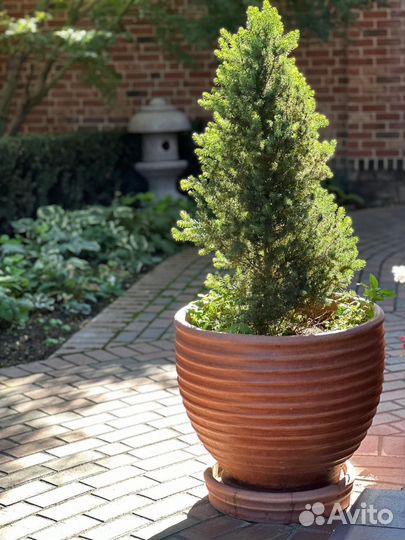 Японский фонарь/Уличный горшок/кашпо/амфора/вазон