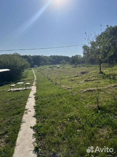 Продаю пруд