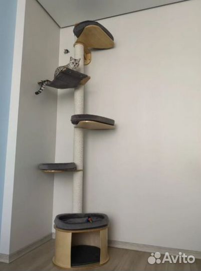 Когтеточка для кошек с домиком