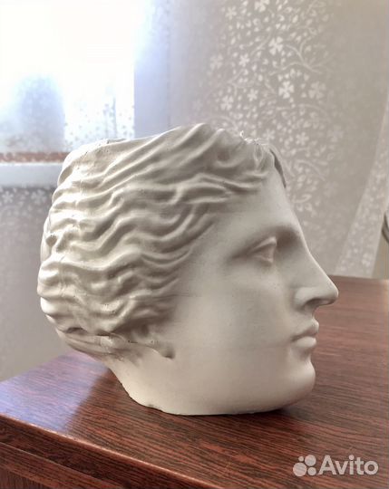 Голова Венеры