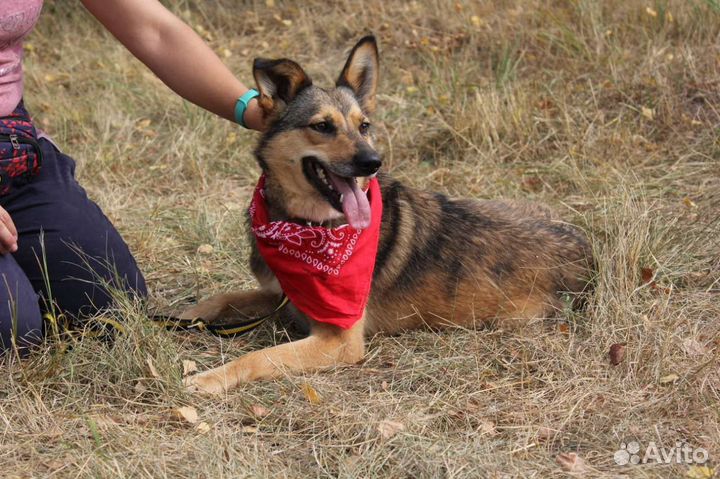 Страх в глазах и одиночество