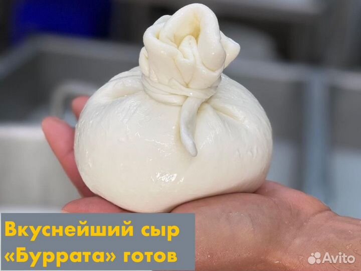 Мастер-класс «Готовим сыр дома за 30 минут»