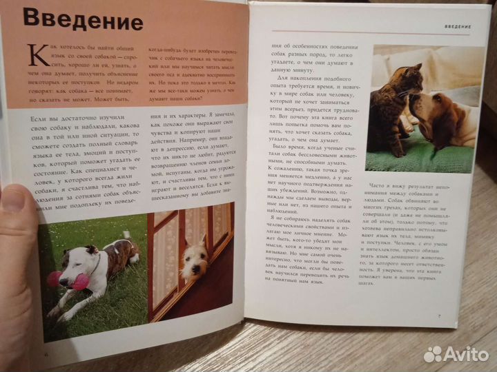 Гвен Бэйли О чем думает ваша собака