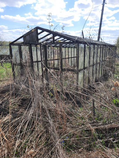 Дом 60 м² на участке 50 сот.