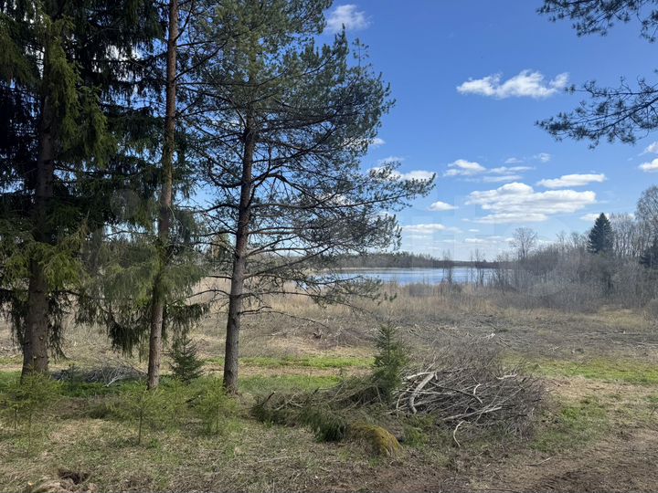 Участок 15 сот. (ИЖС)