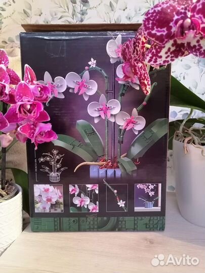 Конструктор Botanical Collection Orchid