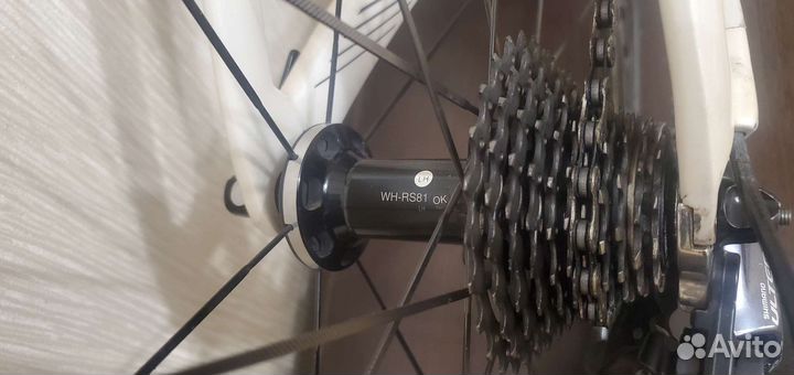 Колёса Shimano RS 81 C50