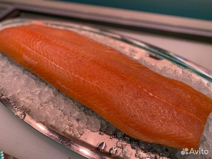 Лосось филе слабосолённый. Улов 2023. Опт