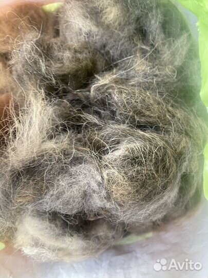 Собачья шерсть пух