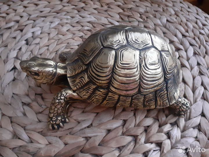 Золотая черепаха