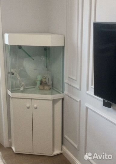 Аквариумы на заказ