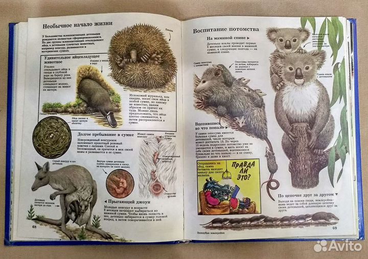 Детская энциклопедия