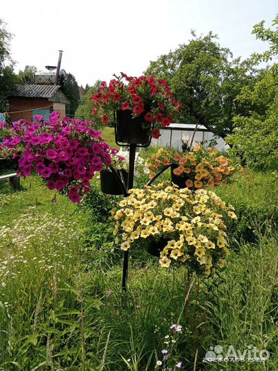 Дерево для петуний