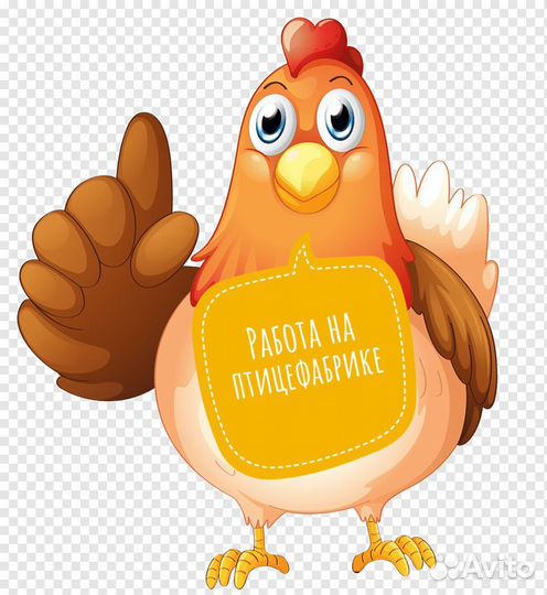 Рабочий на птицефабрику Невинномысск без опыта
