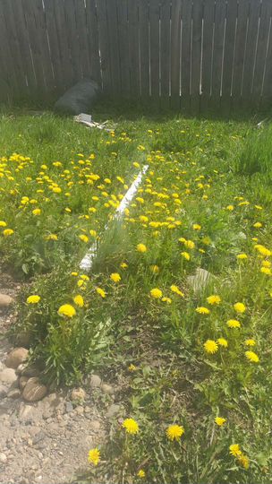 Участок 9 га (СНТ, ДНП)