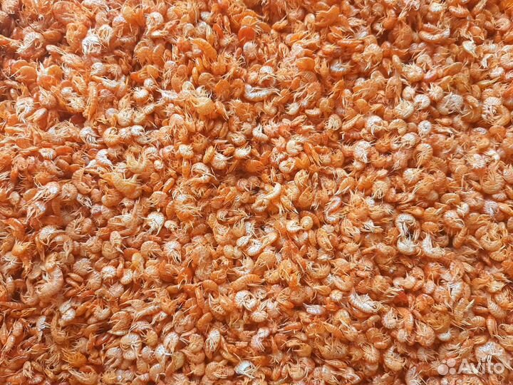 Корм для рыбок аквариумных Гаммарус