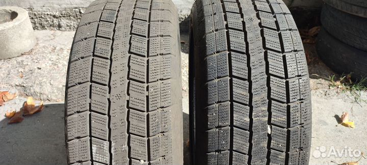 Joyroad Winter RX821 205/55 R16