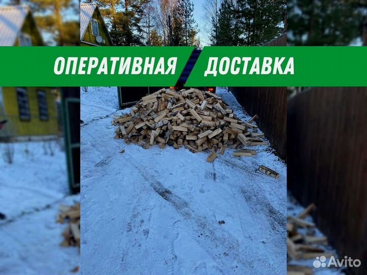 Дрова березовые