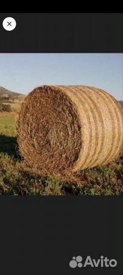 Сено в тюках