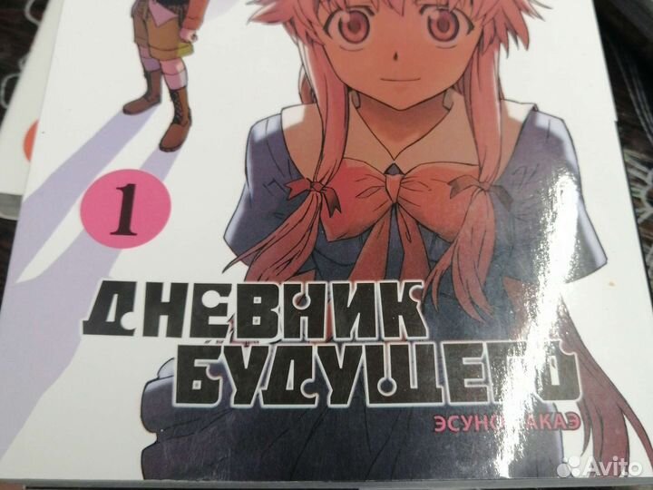 Манга:Дневник будущего часть 1