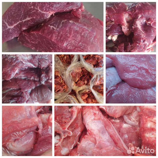 Мясо для собак. Корма для животных. Доставка