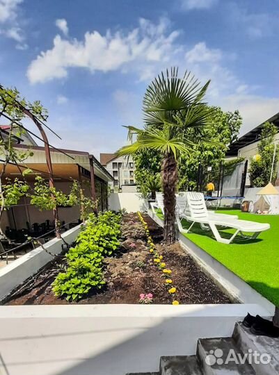 Отдых в гостевом доме Сочи у моря в Вардане