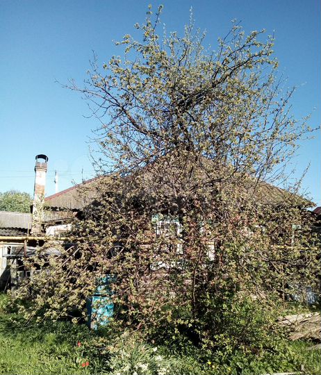 Дом 93 м² на участке 12 сот.