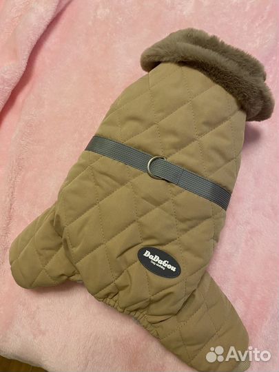 Одежда для собак