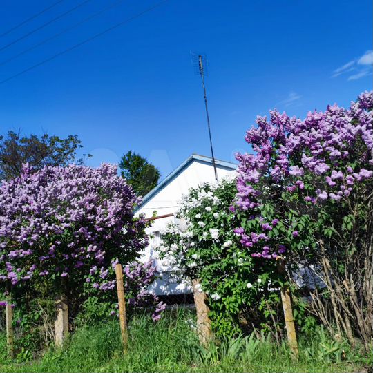 Дом 62,8 м² на участке 20 сот.