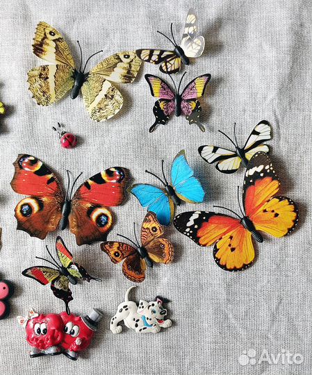 Магнитики все в одни руки. Бабочки, животные