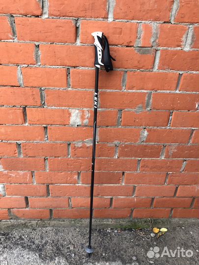 Лыжная Палка leki