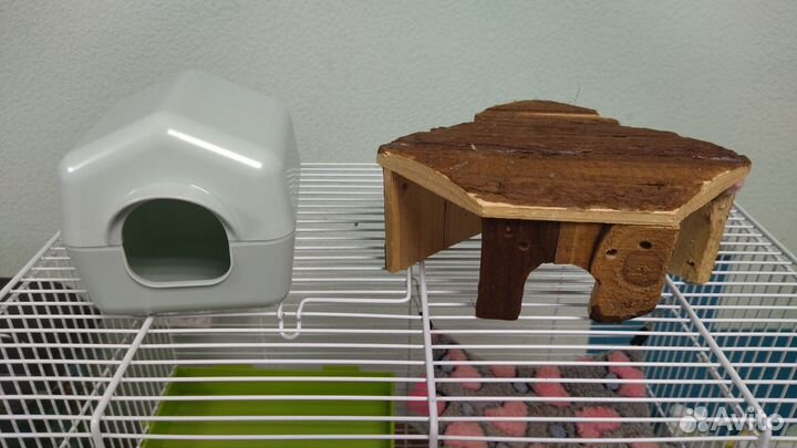 Клетка для грызунов Ferplast и многое другое