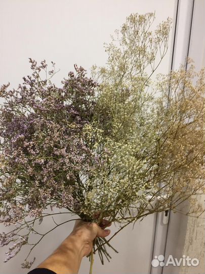 Сухоцветы для творчества