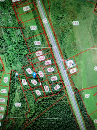 Участок 89 сот. (СНТ, ДНП)