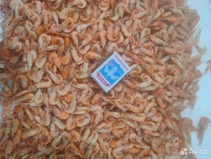 Креветка азовская мороженная