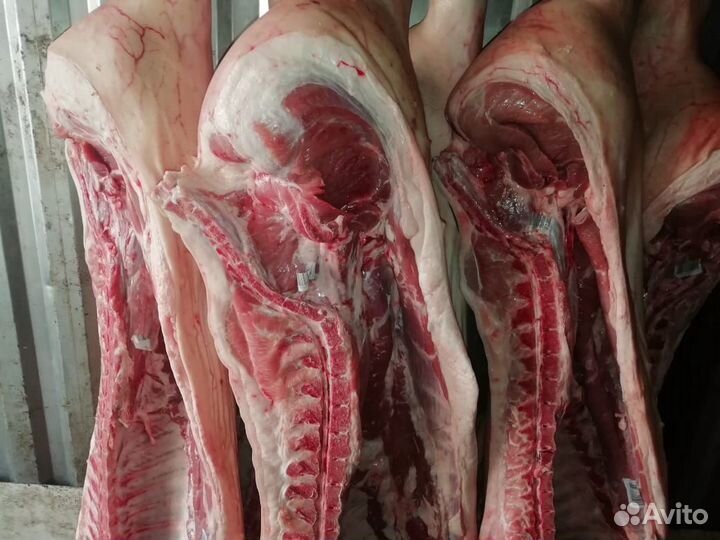 Мясо свинина