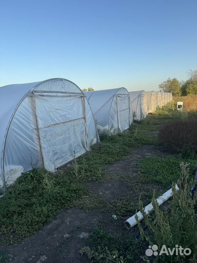 Балаганы,дуги,теплицы продам