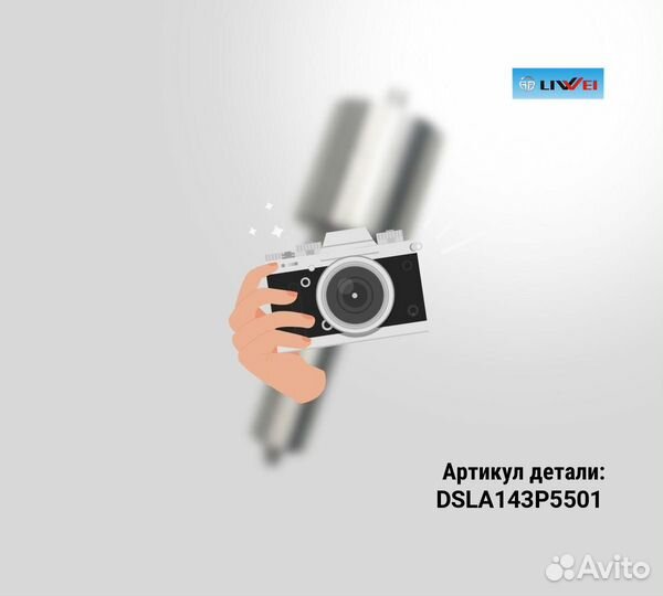 Распылитель 0433175501 liweidsla143P5501