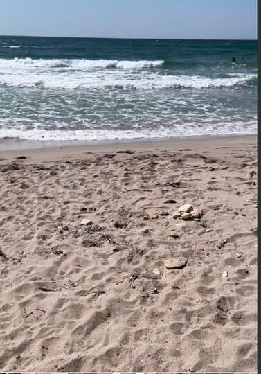 Участок 3,72 га (СНТ, ДНП)