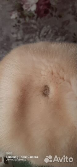 Берет зимний из меха норки