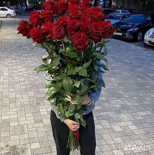 101 роза цветы букеты доставка 25 51 101 роза