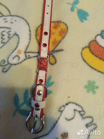 Одежда для щенка