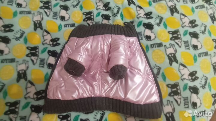 Куртка для маленькой собаки